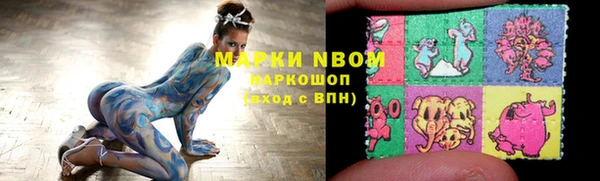 прущие грибы Тихорецк