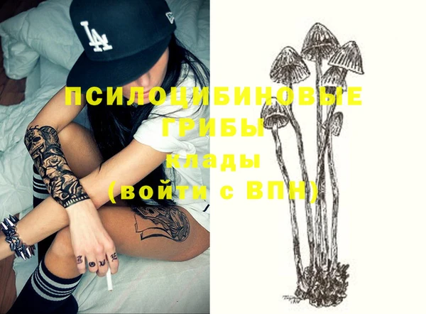 прущие грибы Тихорецк