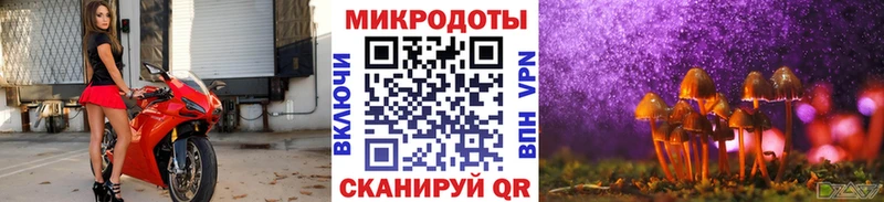 Купить закладки  Уварово  Псилоцибиновые грибы ЛСД 
